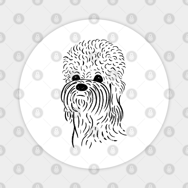 Dandie Dinmont Terrier (Black and White) Magnet by illucalliart